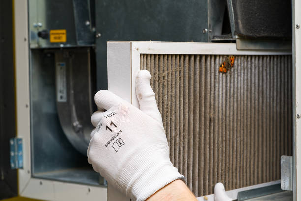 Best Ductwork Cleaning Services  in Roanoke, TX
